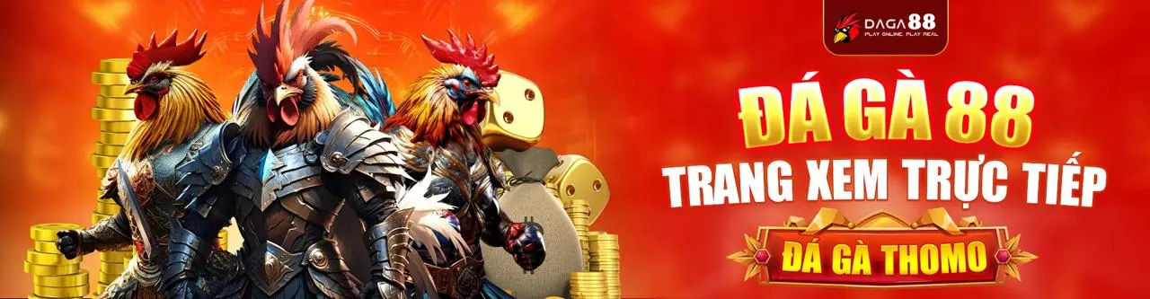Hình ảnh banner Blog 13 Winbet