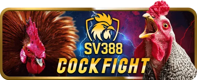 Bắn cá 13 winbet